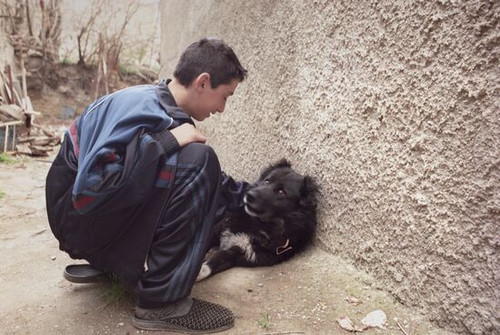 517608457 23916365214688549 1221081645448133457 n.jpg? nc cat=109&ccb=1 7& nc sid=127cfc& nc ohc=3Ti.jpg