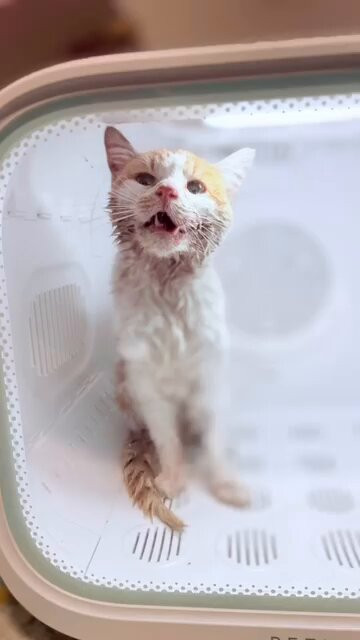 sTz ngN5CGdUaCQx.jpg