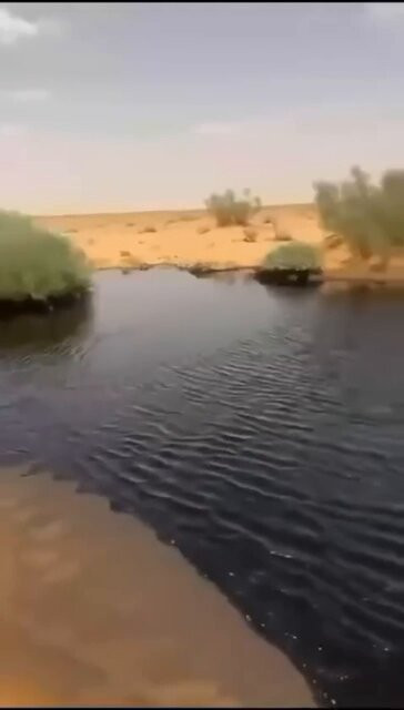 s92NCXf66 BJsdyp.jpg