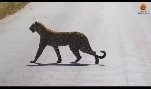 enGdGL4 YZXLs4fp.jpg