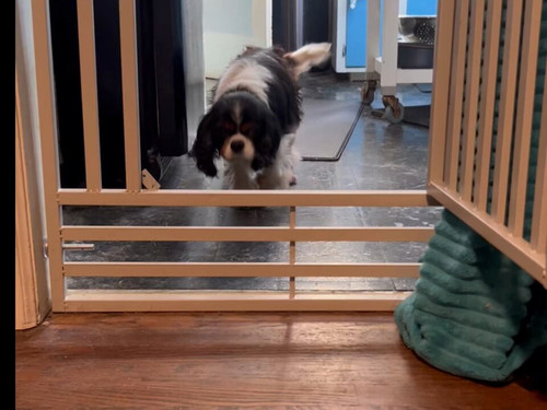 RJUJnrDVp4ayjf U.jpg