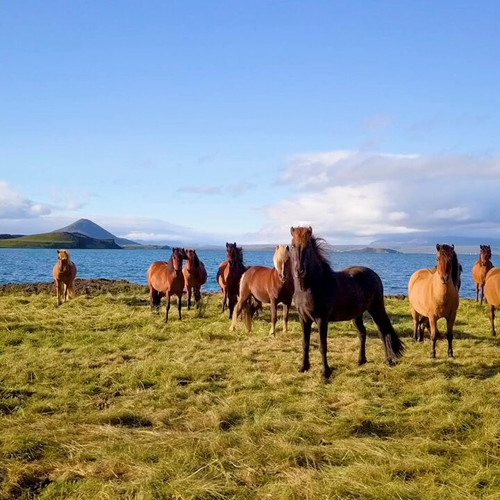 L3CxvPhL9B9uA Id.jpg