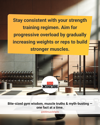 6204ae5f a6d6 41d3 9560 735c80b91db8.png