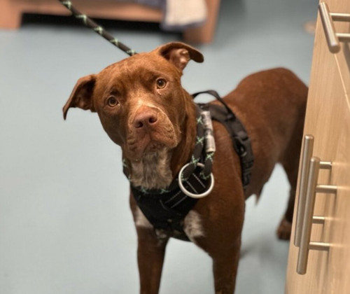 GvNZQl WQAA1u N?format=jpg.jpg