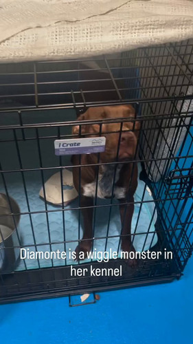 SC6f 6BA jF SkBn.jpg