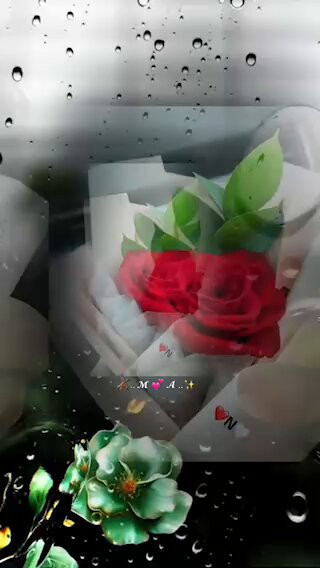 NfvltLlCBwe6 DrP.jpg