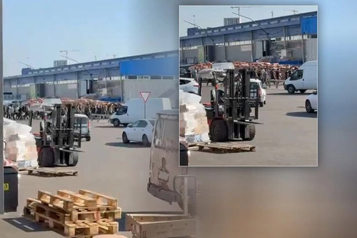 517989784 122206658714252790 716731557886474878 n.jpg?stp=dst jpg p180x540 tt6& nc cat=108&ccb=1 7& .jpg