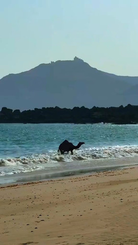 BpukwL2 caCWBy2 .jpg