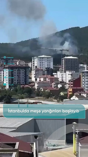 wco2 Qe8W53wn75M.jpg