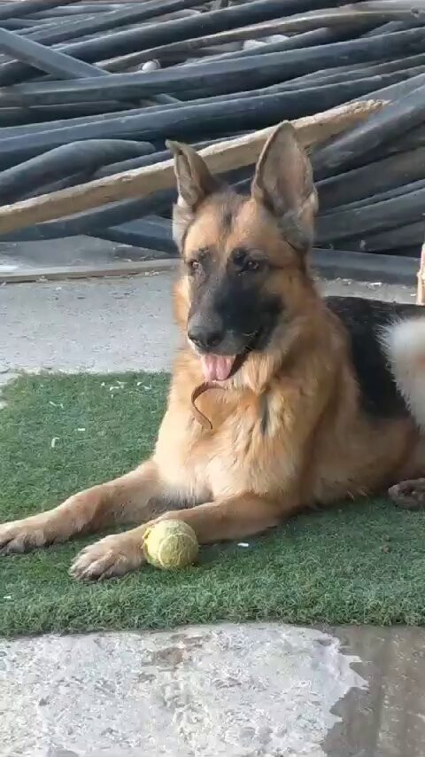 9nNb CCwAMtfZ0Qj.jpg