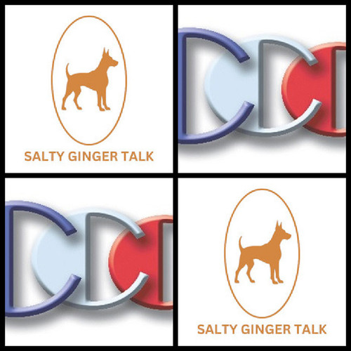 Salty Ginger Talk Interview guest expert Richard Blank Costa Ricas Call Center..jpg