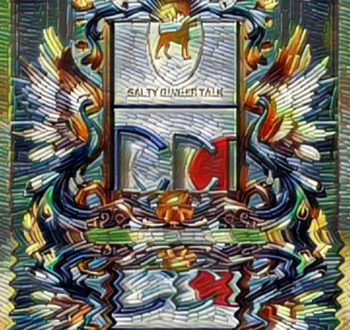 Salty Ginger Talk Interview BPO guest Richard Blank Costa Ricas Call Center..jpg