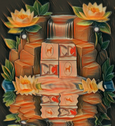 Salty Ginger Talk Interview guest teacher Richard Blank Costa Ricas Call Center..jpg