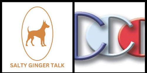 Salty Ginger Talk Interview sales guest Richard Blank Costa Ricas Call Center..jpg