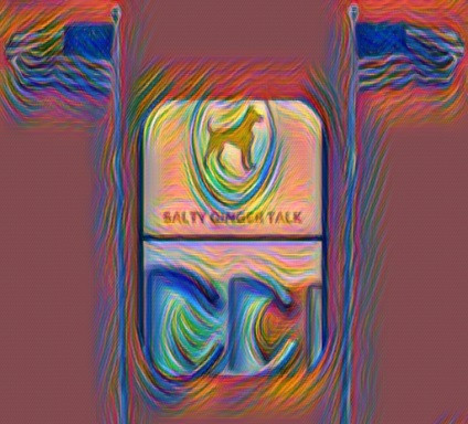 Salty Ginger Talk Interview telemarketing guest Richard Blank Costa Ricas Call Center..jpg