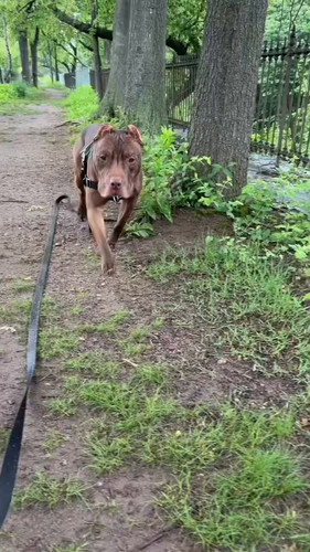 8xbekcHcycg99nW .jpg