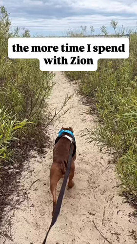 S6QGJQOgNxpmj L .jpg