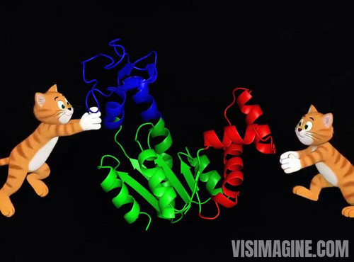 DTrVnj4IS1 73dXr.jpg