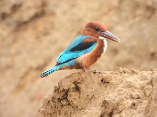 Gvnj KKW4AA KJJ?format=jpg.jpg