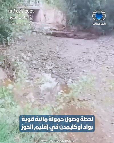 sgsKkDSS53Ku 2fL.jpg