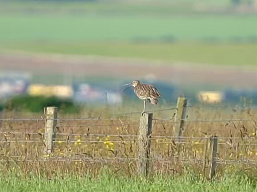 WQ gD2erNN8Hf4IO.jpg