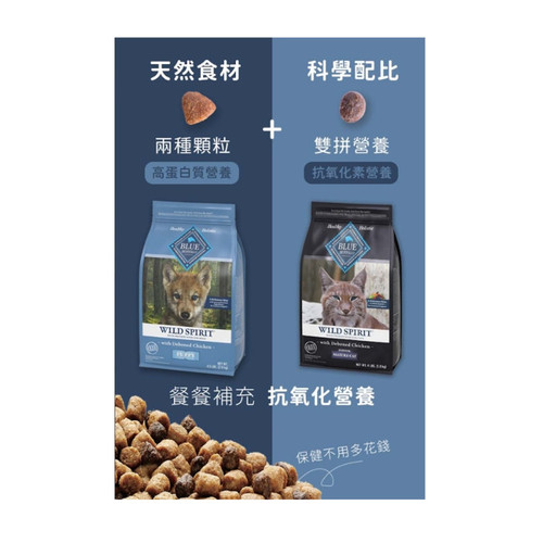 1127AD 2 WH 1200x1200px.jpg