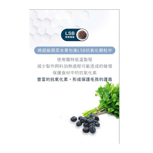 1127AD 4 WH 1200x1200px.jpg