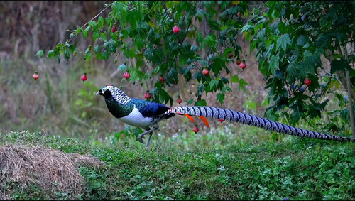 Jv8K6DlM 2j6wDNc.jpg