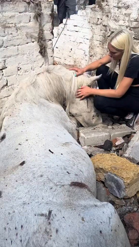 XMu6Axv S64O93ZH.jpg