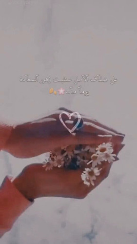 ssboG6JR6u7Nkj B.jpg