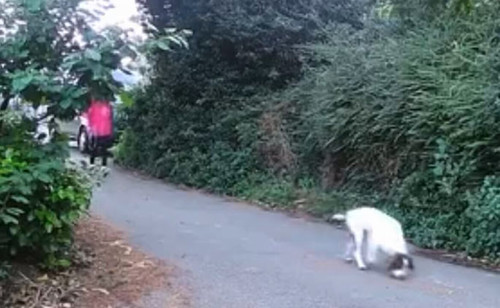 4jTE2 6nQlOIMMKV.jpg