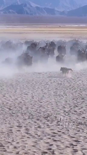 hGUhkiXVmd7p VX3.jpg