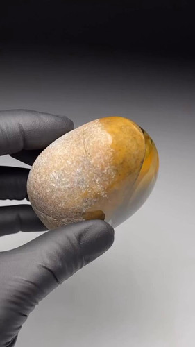 CcpPq OGh8xzY5Ro.jpg