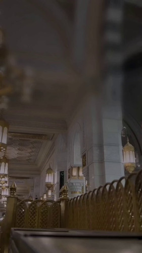 VOvQ MjjMd4zD4DO.jpg