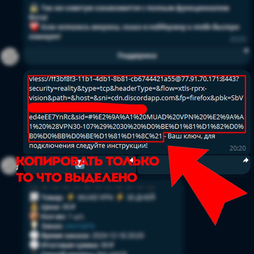 4B5F476F 2320 4C98 9973 AEF2095A96B6.jpg