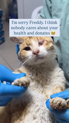 MAYeIXEakpCT QAO.jpg