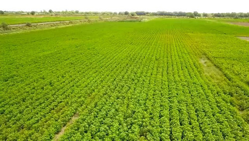 Omkd3U6o2JO 85ml.jpg