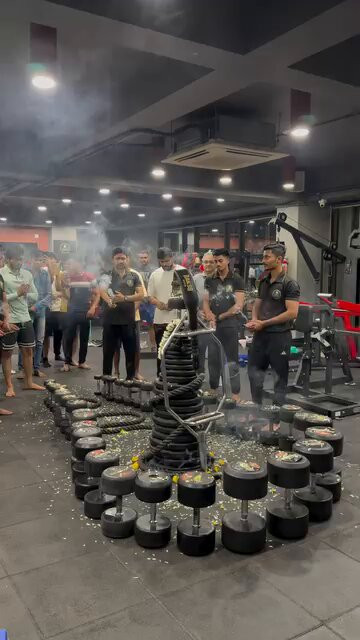 AvHIS1STZS Am vL.jpg