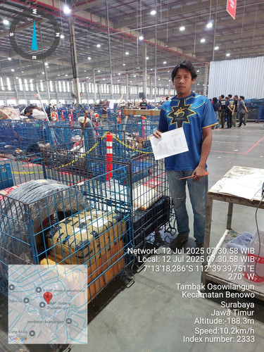 01c873f6 950e 4def a8ef 7c5a2e84494f.jpg