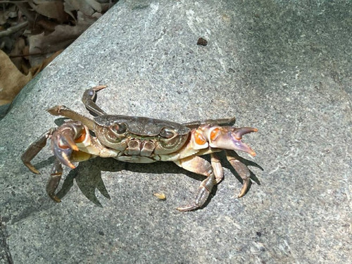 gHhrGNLMwQZ4zc6o4XHU7qReHi44BcrLNdZRPxV9LoRdjLtSAzzJXQz5C0ZzX 2CTWCZZFj60u5UEIuYKyjTYeA9aQ mP ty1MWW.jpg