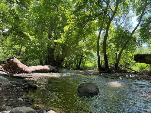 I 6Emfo6goXUcEQ01dUw b9ul8UAHOSntQAPtGrqG6uS70KCj0Iuc7Qtv8bgg0H5njwTma6dTESdr6l GFBSVfTaDZvW45EZ COp.jpg