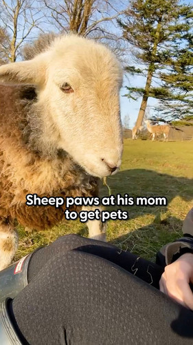 XztERWj4V7 O jFr.jpg