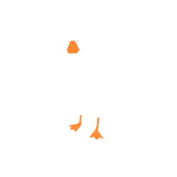 38f98b1329f3.png