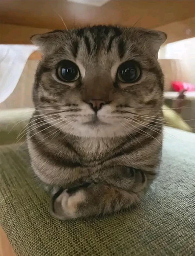 hd 1752371866611.jpg