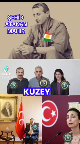 I2pkQaqiRETQ3vmb.jpg
