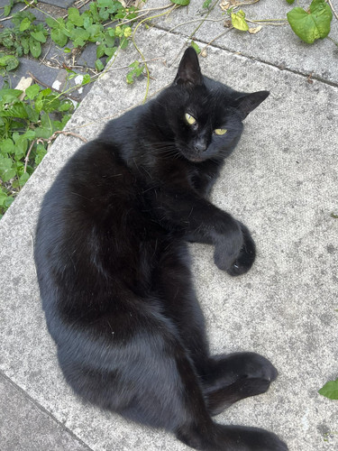 516768494 4076873912600698 5554104900948003706 n.jpg