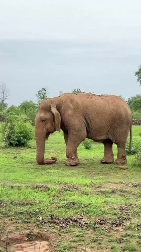 O 8k3fyWJv6hBVhW.jpg