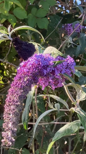 etPk K7Ku28ckGmM.jpg