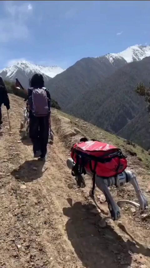 z5zfKt ZSeh23wz .jpg