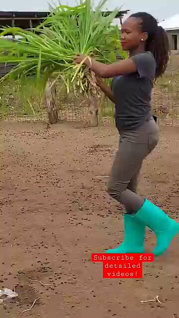 6ojRgjSLTiTuc 8s.jpg